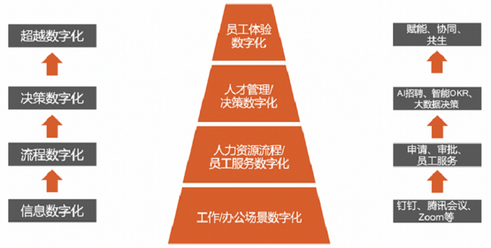 人力资源